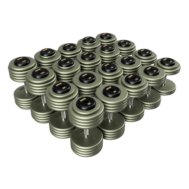 Troy 55 to 100 lb Pro Style Dumbbells with Black Rubber End Caps