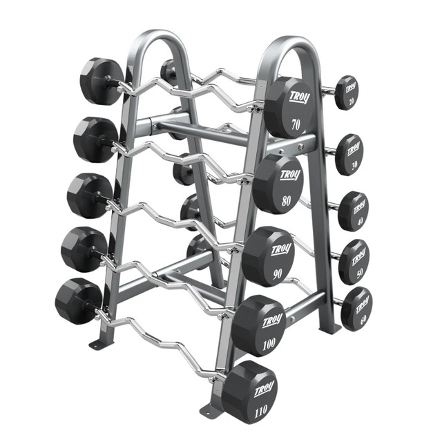Troy Urethane Curl Bar Set with Silver Commercial Storage