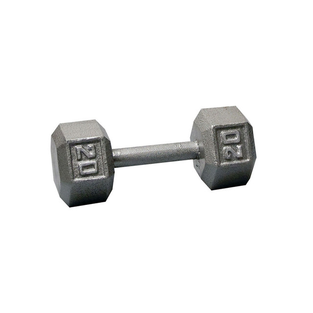 Body-Solid 20 lb Cast Iron Hex Dumbbell with Silver Weight Marking