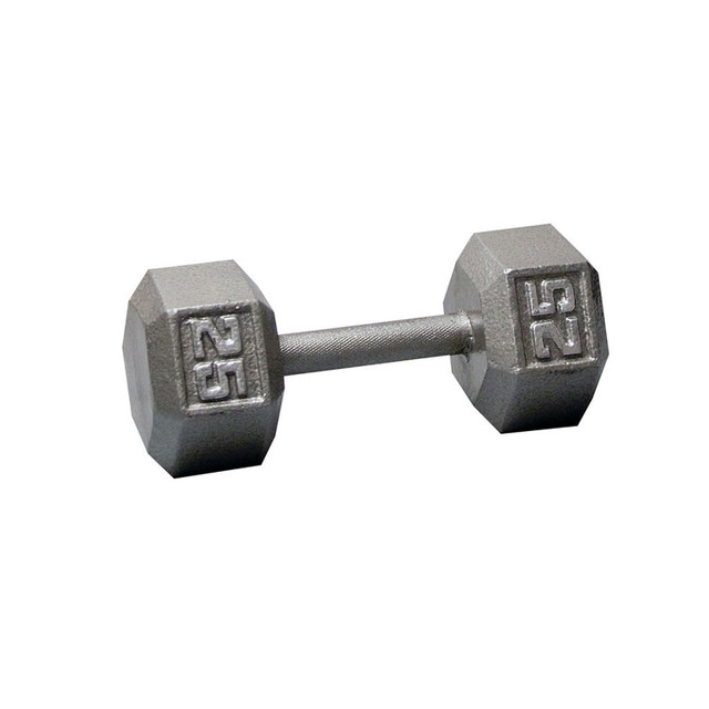 Body-Solid 25 lb Hexagonal Iron Free Weight with Silver Weight Marking