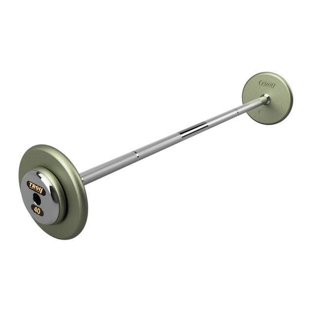 Troy 40 lb Gray Cast Iron Straight Weight Bar with Chrome End Caps