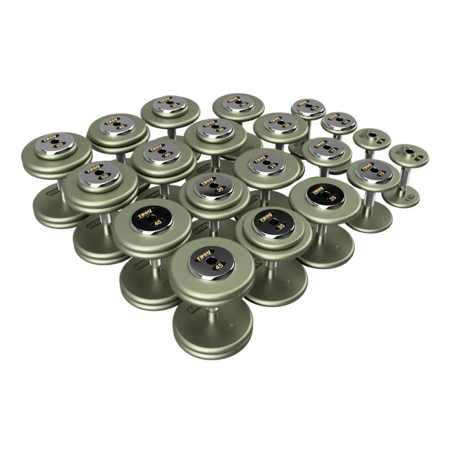 Troy Gray Cast Iron Weight Set 5 to 50 lb with Chrome End Caps