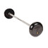 Troy Rubber-Coated Fixed Weight Barbells with Straight Bar