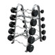 Troy (20-110 lb) 12-Sided Rubber Fixed Barbell Set & Rack - EZ Bars & Silver Rack