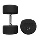 Troy VTX (XD-U) Round Urethane Dumbbells - 75 lb Pair