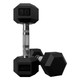 USA Sports 10 lb Hex Rubber-Coated Dumbbells