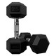 USA Sports 25 lb Hex Rubber-Coated Dumbbells