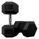 Troy 85 lb Rubber Hex Dumbbells