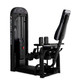 Inflight Inner/Outer Thigh Machine