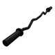 Troy (TOZ-47B) Black Olympic Curl Bar