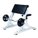 York Barbell (STS) Commercial Preacher Curl - White Frame Color