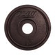 Troy 10 lb Black Cast Iron Weight Plate