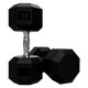 Troy VTX (SD-U) 8-Sided Urethane Dumbbells - 65 lb Pair