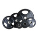 Troy USA Sports Rubber Olympic Grip Plates