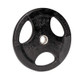 Troy USA Sports Rubber Olympic Grip Plate