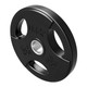 Troy USA Sports 25 lb Rubber-Covered Weight Plate