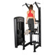 Muscle-D Elite Assisted Chin Dip Machine - Assisted Dipping Exercise