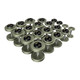 Troy Gray Pro-Style Dumbbell Set w/ Rack - Dumbbells Only 5-50 lbs w/ Black End Caps