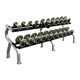 Troy 5-50 lb Gray Pro-Style Dumbbell Set with Rack - Black End Caps on Dumbbells