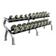 Troy 5-50 lb Gray Pro-Style Dumbbell Set and Rack - Chrome End Caps on Dumbbells