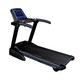 Body-Solid (T25) Endurance Folding Treadmill