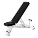Troy Barbell Adjustable Ladder Bench w/ White Frame in Incline Position