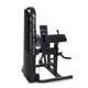 Inflight Fitness Bicep/Tricep Machine - Angled View