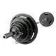 Troy VTX Cast Iron Olympic Weight Set w/ 7-Foot Chrome Bar