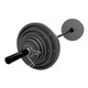 Troy USA Sports Gray Cast Iron Olympic Set w/ 7-Foot Black Bar