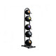 Aeromat Medicine Ball Rack - Loaded w/ Optional Weighted Balls