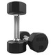 Troy 10 lb 12-Sided Rubber Dumbbells