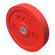 Troy VTX 45 lb Colored Rubber Bumper Plate