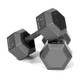 Troy VTX 5-100 lb Hex Dumbbell Set w/ Rack - Cast Iron Dumbbells Only View