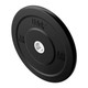 Troy USA Sports 15 lb Solid Rubber Bumper Weight