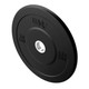 Troy USA Sports 10 lb Black Bumper Plate