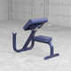 Body-Solid (GPCB329B) Preacher Curl Bench - Rear Angled View