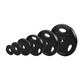 Troy Urethane Weight Plates w/ Grips