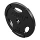 Troy 45 lb Urethane Olympic Grip Plate
