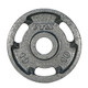 Troy VTX 10 lb Cast Iron Weight Plate w/ Grips