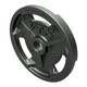 VTX 35 lb Cast Iron Olympic Grip Plate