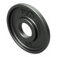VTX 2.5 lb Cast Iron Weight Plates