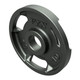VTX 10 lb Cast Iron Plate w/ Handles