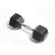 York 20 lb Rubber-Encased Dumbbell