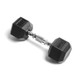 York 10 lb Rubber Dumbbell