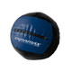 Dynamax 14" Standard Wall Ball - Black Ball w/ Blue Label