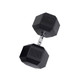 Body-Solid 100 lb Rubber Hex Dumbbell