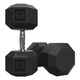 Troy VTX (SD-R) 8-Sided Rubber Dumbbells