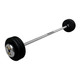 Troy 80 lb Black Cast Iron Fixed Barbell - Straight Bar and Chrome End Caps
