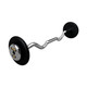 Troy 40 lb Black Cast Iron Fixed Barbell - EZ Curl Bar and Chrome End Caps