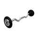 Troy 30 lb Black Cast Iron Fixed Barbell - EZ Curl Bar and Chrome End Caps